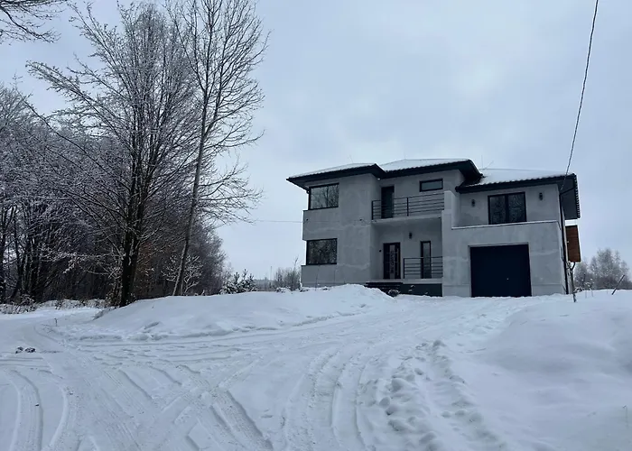 Villa Bory Vygoda