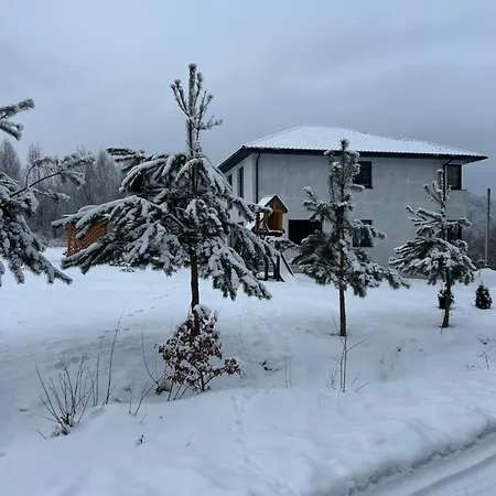 Bory Βίλα Vygoda